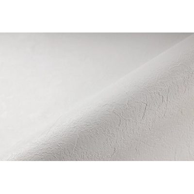 Пленка RENOLIT ALKORPLAN RELIEF анти-слип White (белая), 1,8 мм, 1,65х25 м
