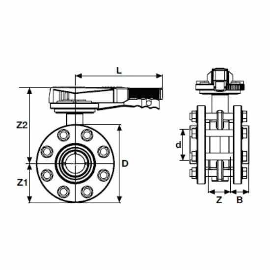Задвижка с фланцами d=160, EPDM, Pimtas